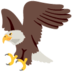 :eagle: